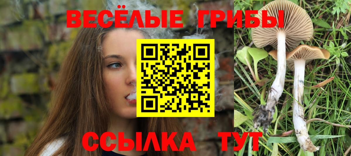 Псилоцибиновые грибы прущие грибы  Вход с VPN  Махачкала 