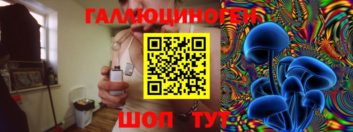 Псилоцибиновые грибы Cubensis Махачкала
